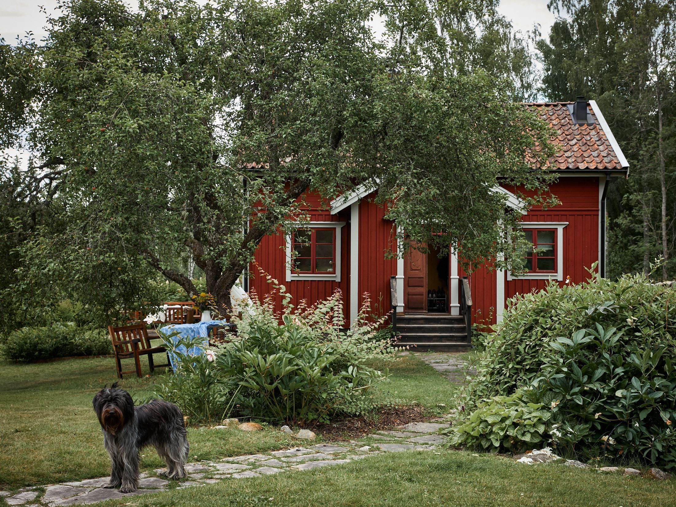 Pieni 75 neliömetrin maalaistalo sijaitsee kauniin vehreyden keskellä.