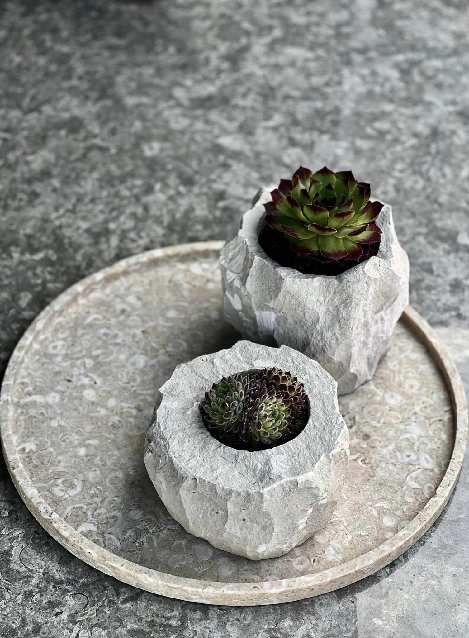 Scandinavian HOME