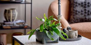 Scandinavian HOME